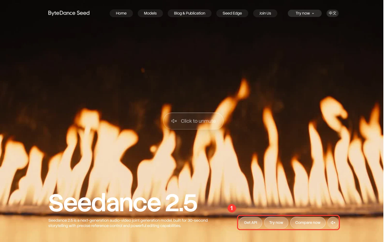 ByteDance Seed's Seedance 2.5 page with the Get API, Try now and Compare now buttons highlighted